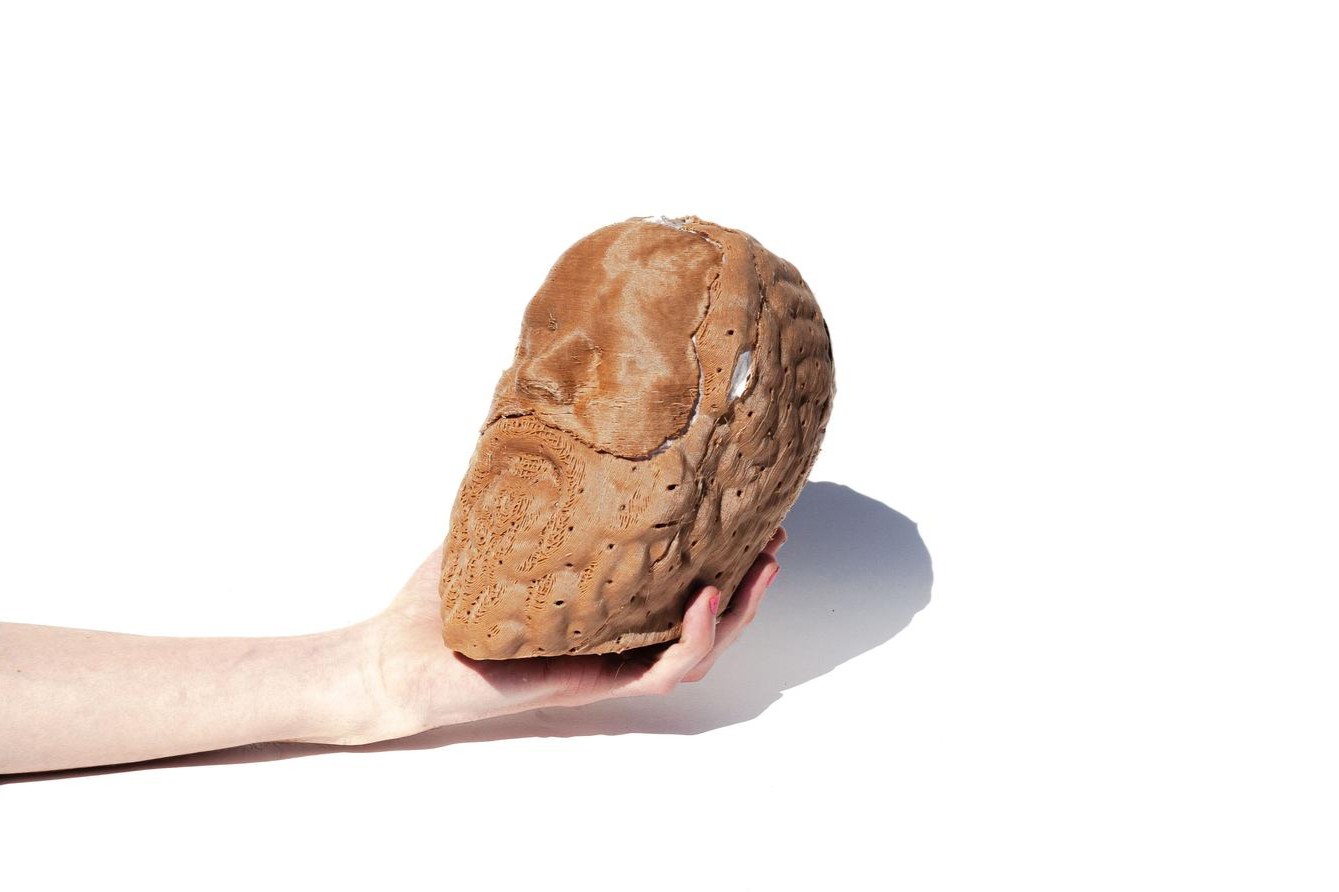 Socrates Organism